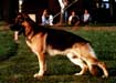 Small picture of V P&uuml;tz von Bad-Boll